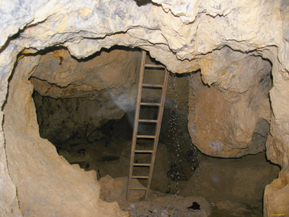 RESURSE: Febra aurului