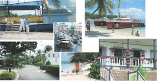 Piratii din Caraibe