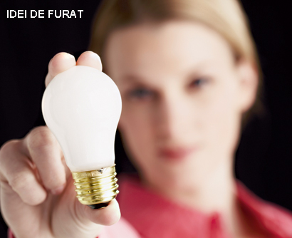 Idei de furat pentru o afacere de la zero