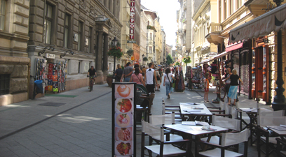 Banii sanatatii, administrati privat