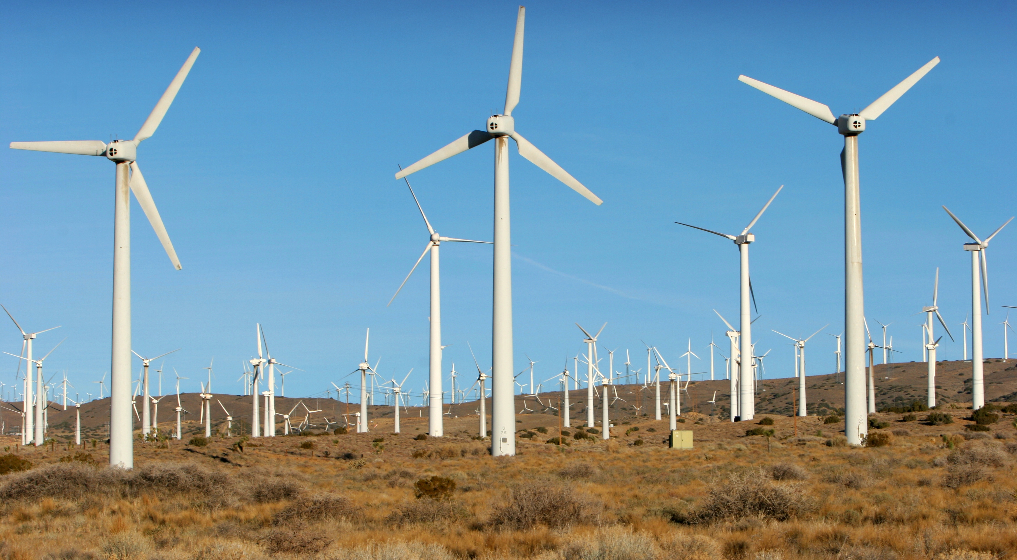 Dobrogea, raiul energiei eoliene