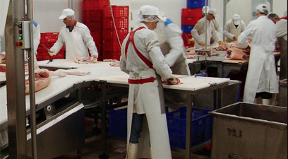 Meat from head to tail