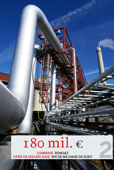 Cele mai profitabile companii de stat in 2008