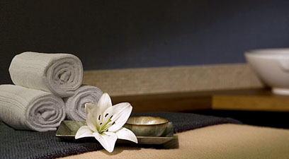 The Hotel at the Spa