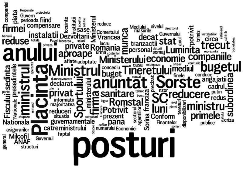 Revista presei economice: posturi