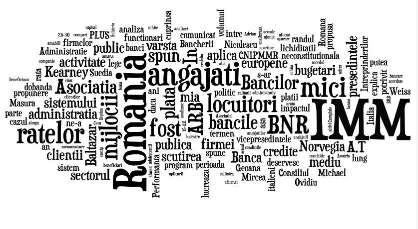 Revista presei economice: IMM