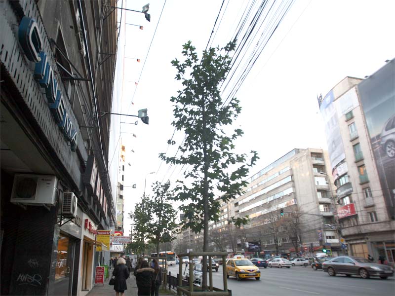 Topul celor mai scumpe artere comerciale din lume: Magheru, locul 39