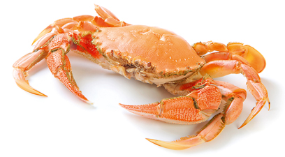 The long journey of seafood to the plate