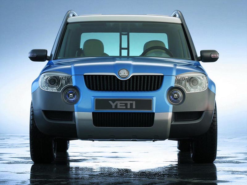 Primul SUV Skoda vine de la 15.466 de euro