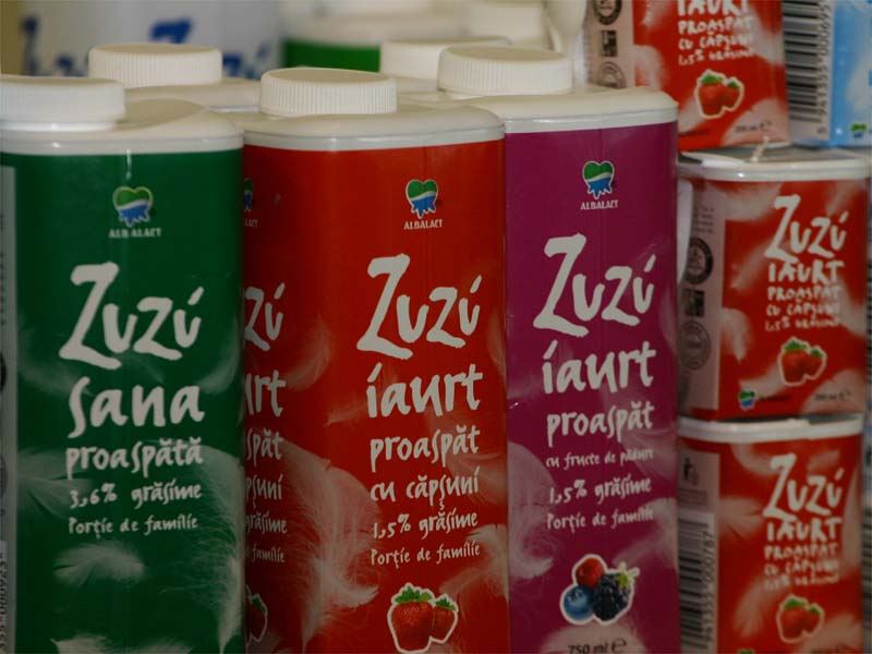 Albalact a ajuns sa detina 93,6% din actiunile Raraul Campulung Moldovenesc