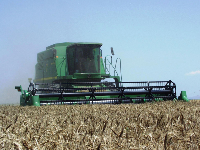 Veniturile agricultorilor s-au diminuat cu 15% in 2009