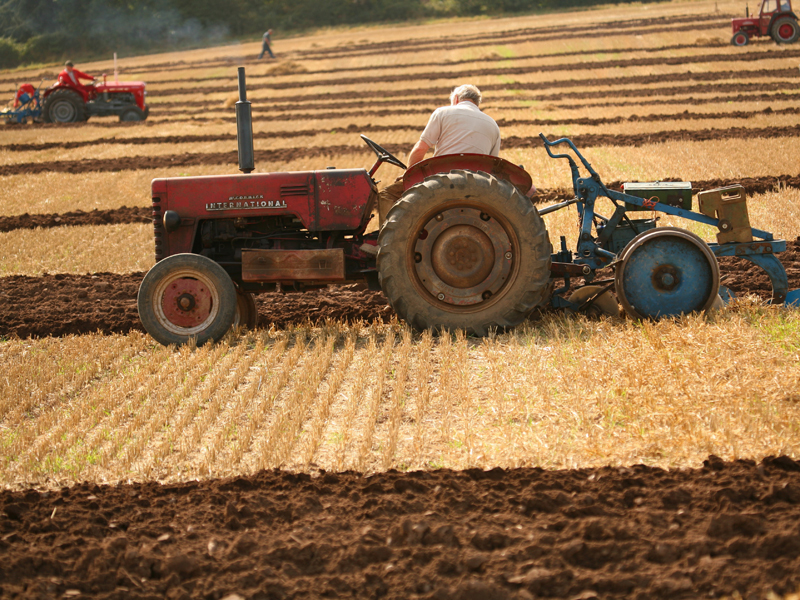 Venitul real pe muncitor in agricultura s-a redus in 2009 cu 15,1% in Romania