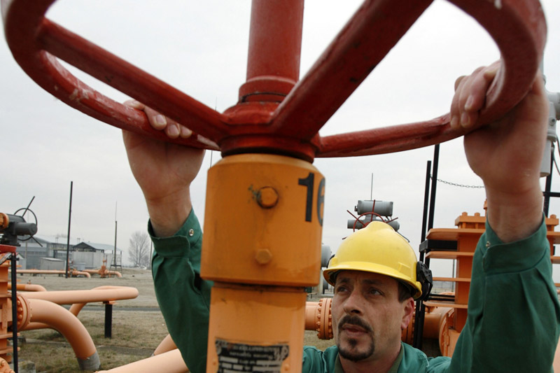 Adriean Videanu: Rusii au invitat Transgaz in South Stream