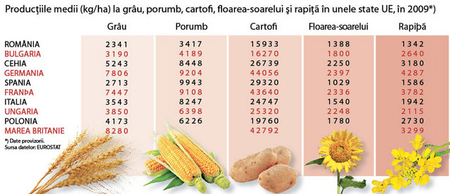 Romania pierde meciul cu bulgarii la agricultura