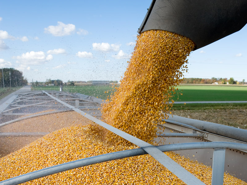 Agricultorii vor primi fonduri europene de 2,5 mld. euro in 2010