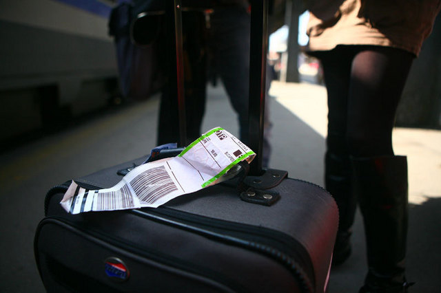 Udrea promite reduceri de 50% la hoteluri pentru strainii blocati la sol