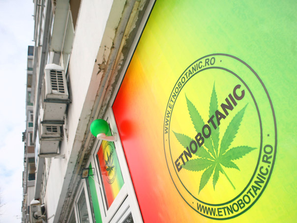 Senatul interzice comercializarea plantelor etnobotanice