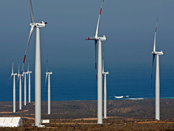 Google a investit 40 de milioane de dolari in doua parcuri eoliene in SUA