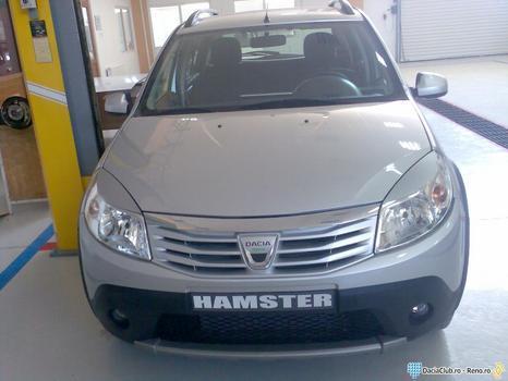 Dacia Hamster - hibrida romaneasca