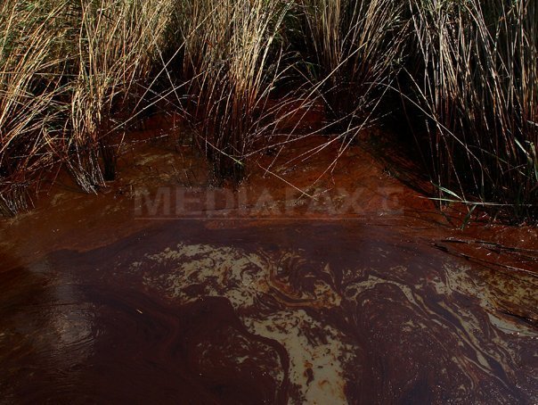 Insule din largul statelor Alabama si Mississippi, afectate de pete de petrol