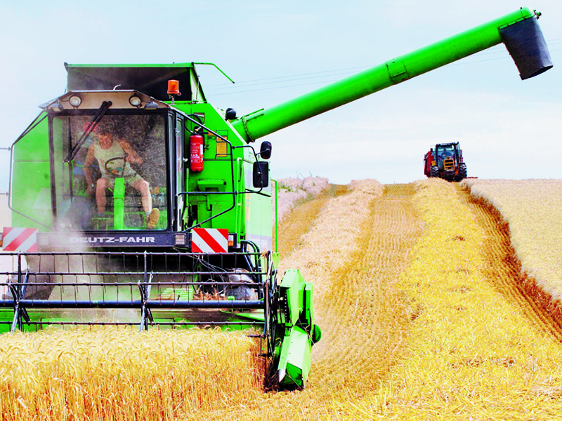 Povestea Alcedo, o afacere agricola care creste impotriva curentului