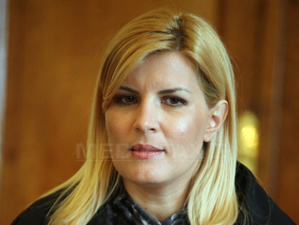 Udrea: In ultimii ani, am renuntat la modelul Basescu, PDL Bucuresti sa se reintoarca la bucuresteni