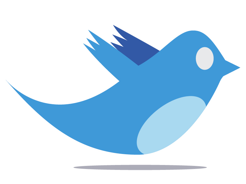 Twitter la romani: pe scurt, dar nu pe bani