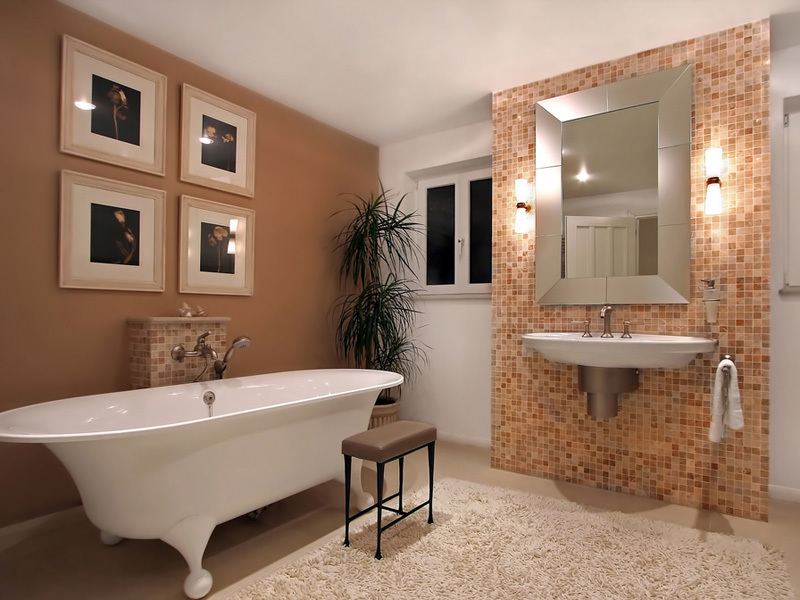 Romanii aleg produsele sanitare dupa design si mai putin dupa tehnologii