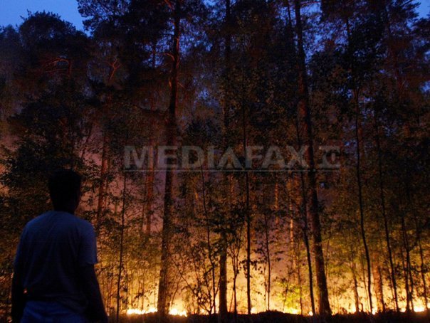Canicula din Rusia, cea mai gravă din ultimii 1.000 de ani