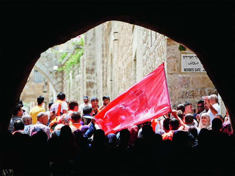 Aferim, Shalom, Profit