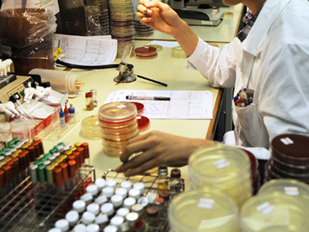 MS pregateste un program de prevenire HIV, finantat de la bugetul statului