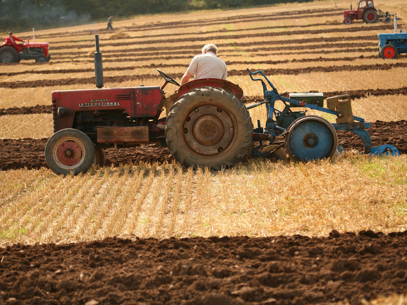 MAPDR: Multi agricultori au idei totalitarist-comuniste, desi vor sa profite de pe urma capitalismului
