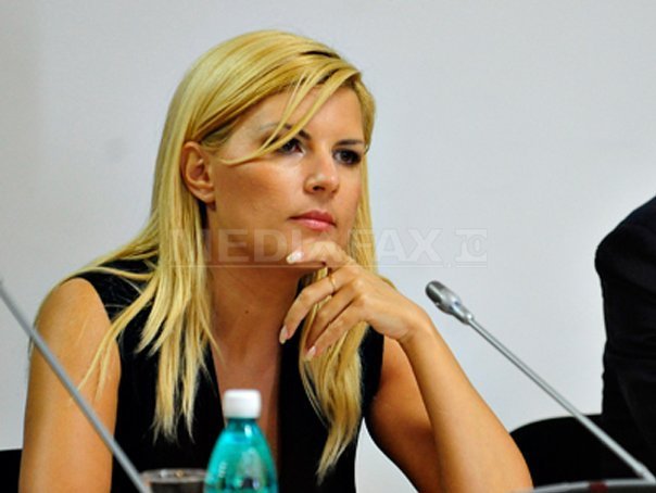 Udrea: PDL da startul campaniei electorale, chiar daca aceasta incepe cu alegerile interne