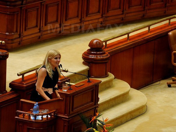 Udrea: PNL si PSD sunt lupi vopsiti care s-au infruptat de la masa bogata a statului