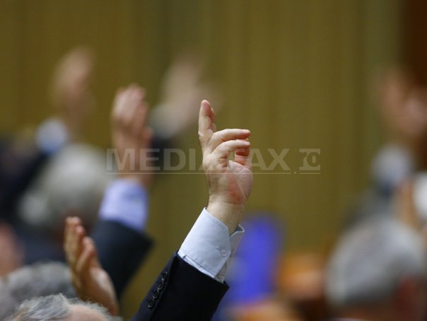 Deputatii PDL sustin ca au votat din greseala legile privind TVA la alimente si neimpozitarea pensiilor