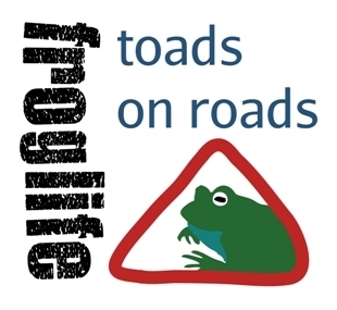 Ajutati broasca sa treaca strada!