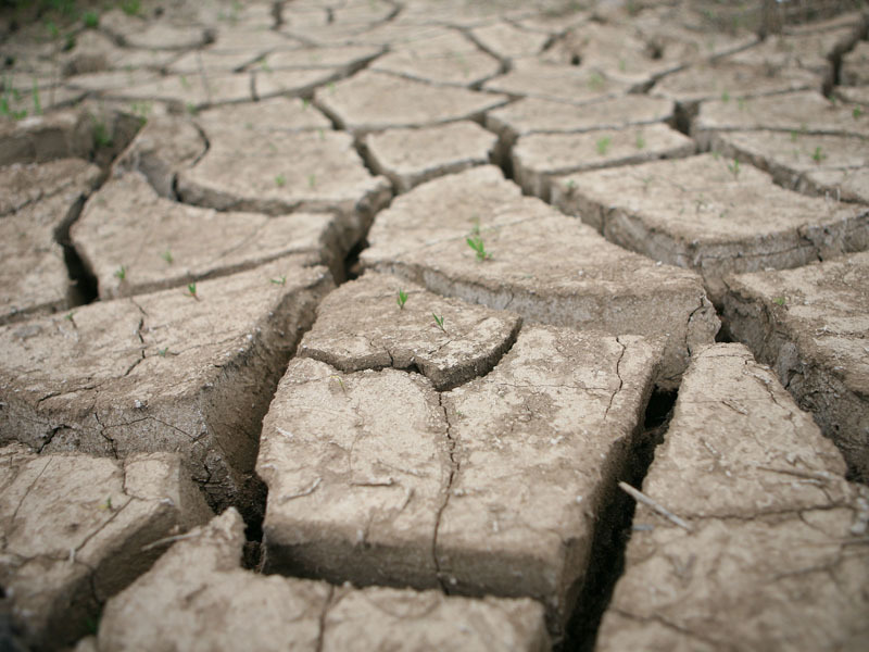 3 milioane de ha de teren agricol sunt degradate