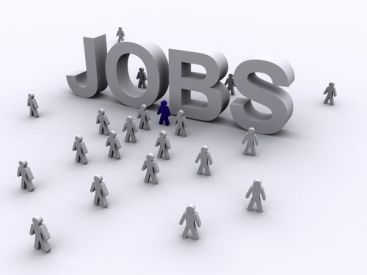 Nu-ti gasesti job sau vrei sa ti-l schimbi? Poti primi consiliere profesionala gratuita!