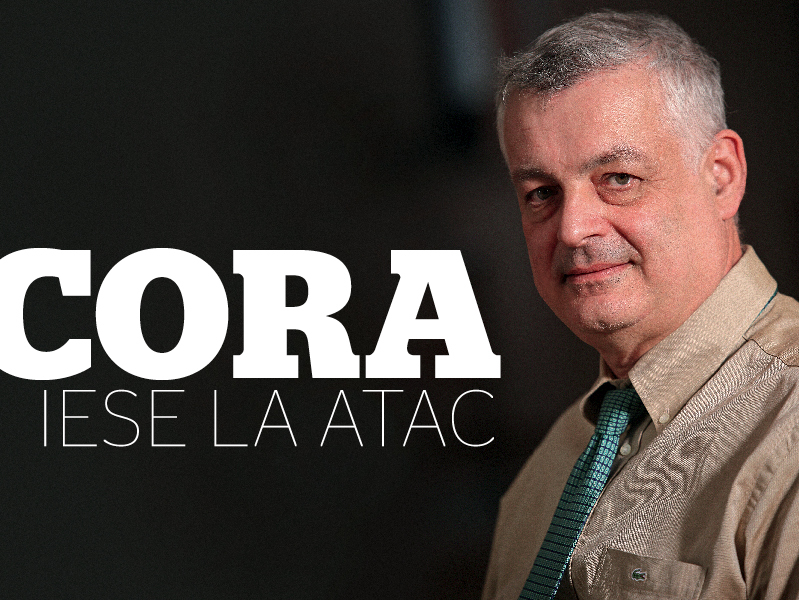 Cora iese la atac: vrea 15 noi magazine in urmatorii ani