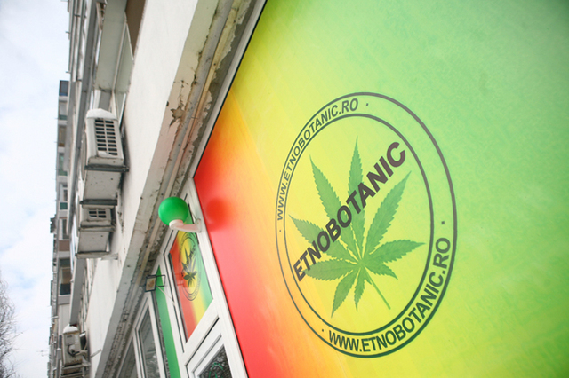 Romania, locul patru in Europa la consumul de plante etnobotanice