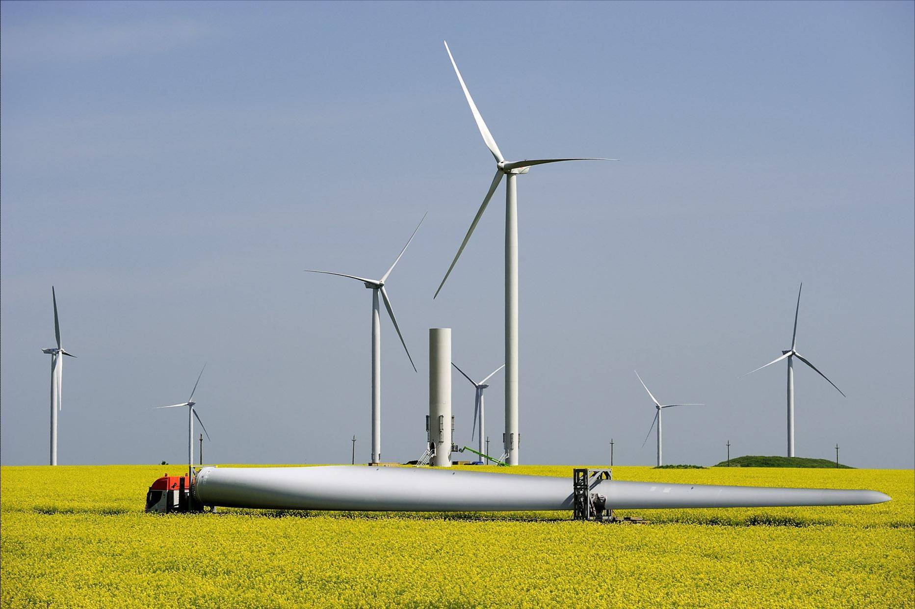BEI finanteaza cu 200 mil. euro proiectul eolian al CEZ din Dobrogea
