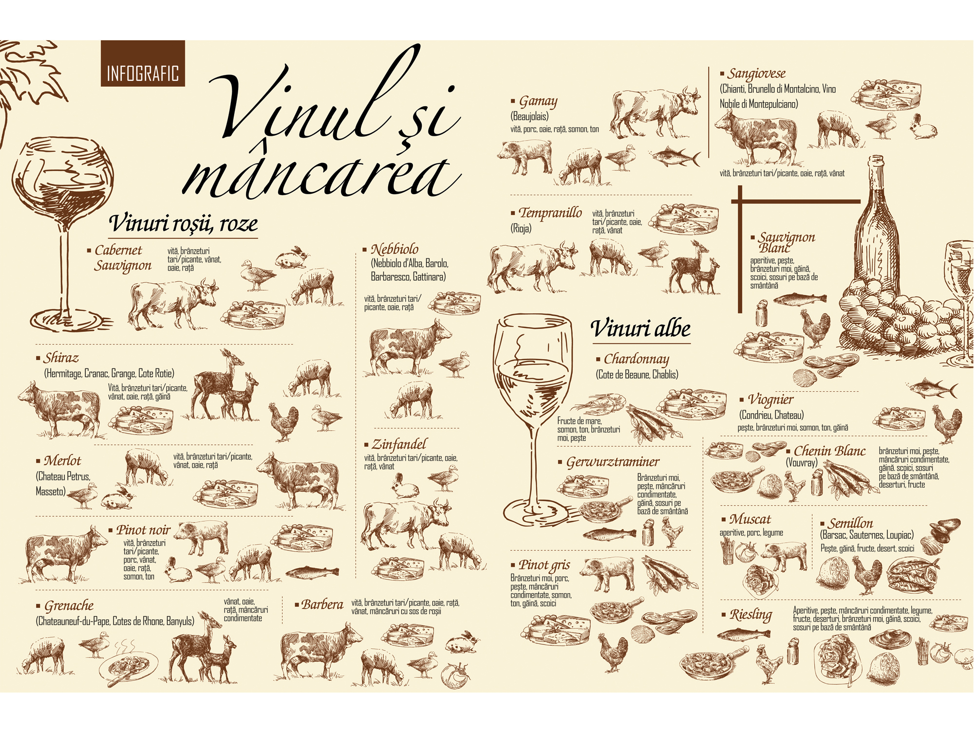 BUSINESS Magazin vă prezintă infograficul săptămânii