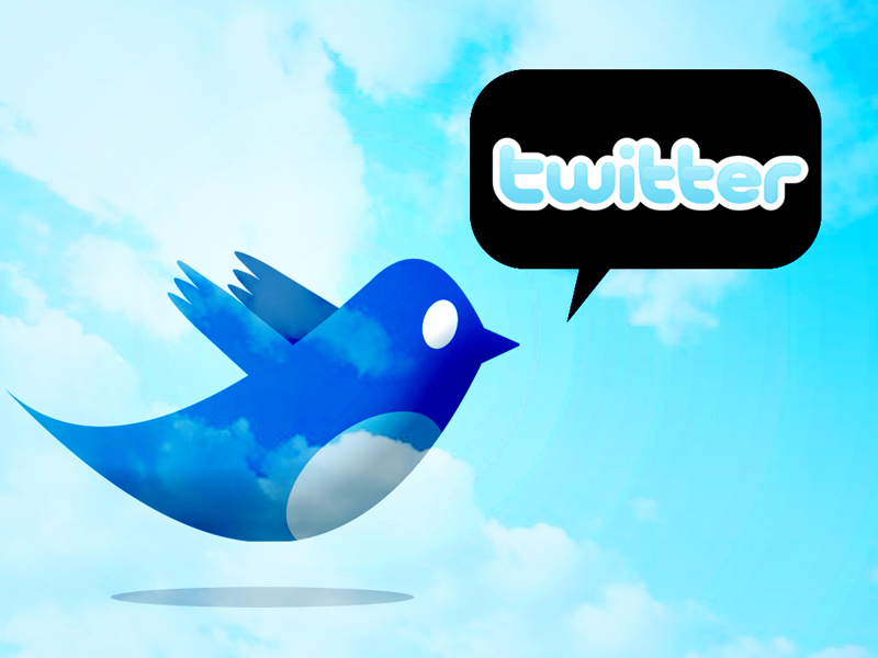 Twitter cauta cumparator. Cine il va lua, Facebook sau Google?
