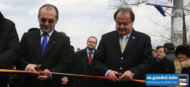 Cum se imparte puterea in PDL. Blaga si-a gasit cei patru secunzi. Videanu renunta la functia de primvice
