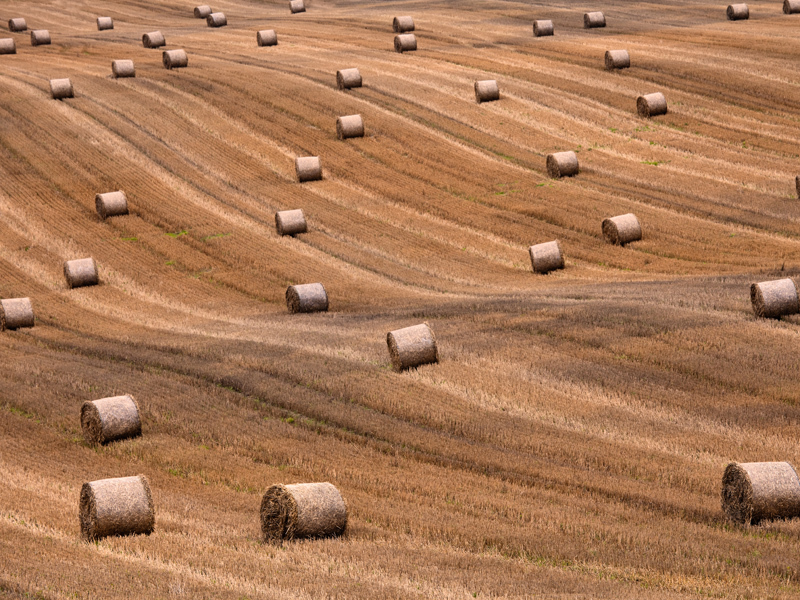 80% in plus pentru creditele de capital de lucru pentru agricultura