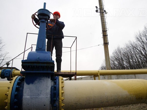 Productia totala de gaze naturale a scazut anul trecut cu 2,8%. Importurile au avansat cu 16,5%