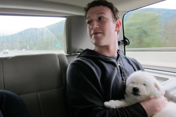 Ce catel si-a cumparat Mark Zuckerberg (GALERIE FOTO)