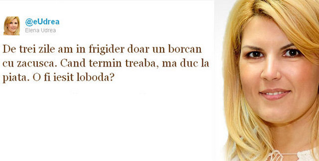Elena Udrea, pe Twitter: "De trei zile am in frigider doar un borcan de zacusca. Cand termin treaba, ma duc la piata. O fi iesit loboda?"