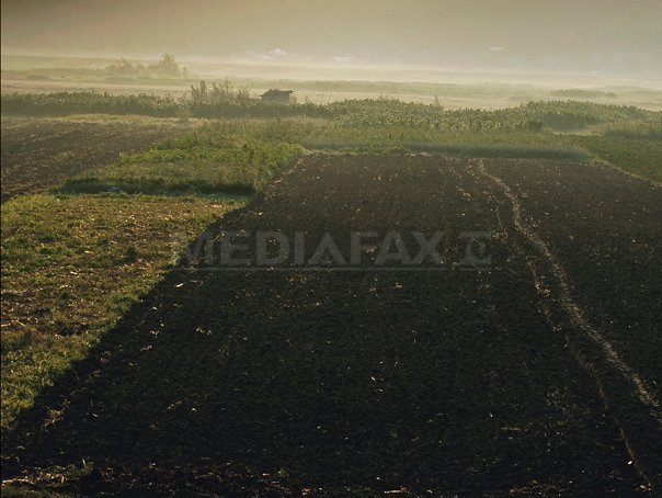 CE va recupera fonduri de 75 mil. euro cheltuite incorect de Romania in agricultura