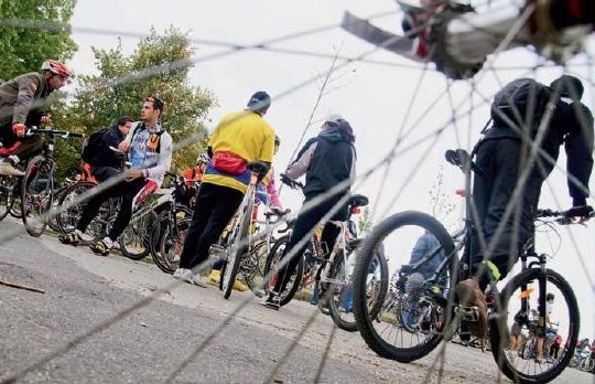 Vreti o bicicleta noua? Incercati una cu piele de piton si cristale Swarovski